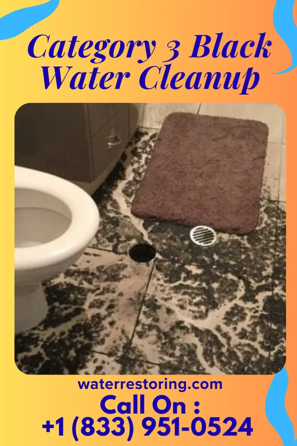 Category 3 Black Water Cleanup in Plainville, IL