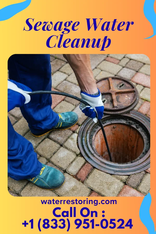 Sewage Water Cleanup in Plainville, IL